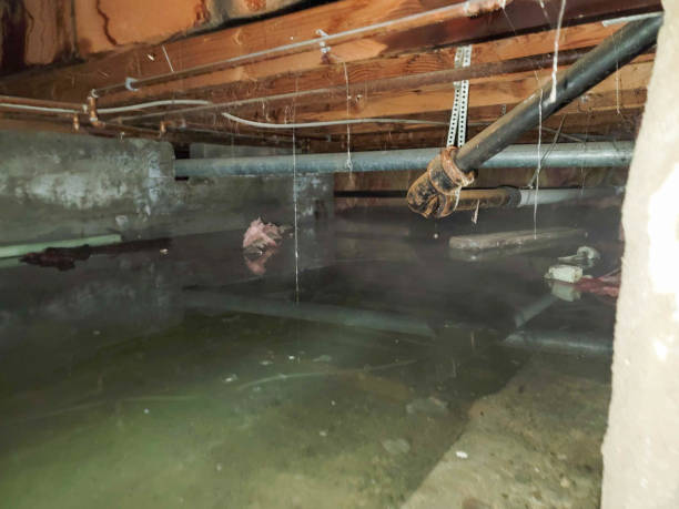 Local water damage restoration in WV
