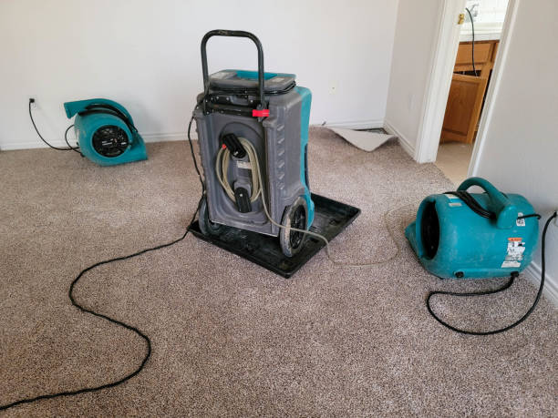 Best Water damage contractors near me  in Chesapeake, WV