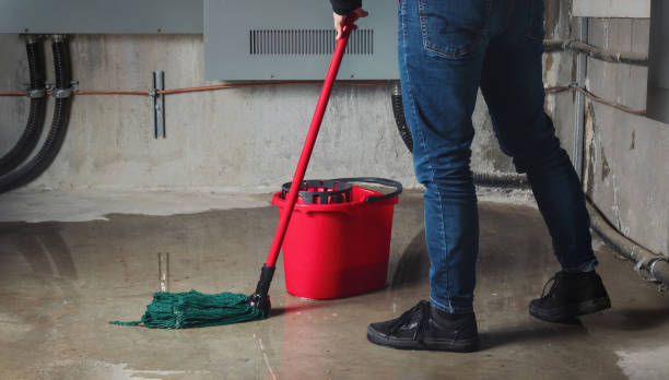 Best Residential water damage restoration  in Chesapeake, WV