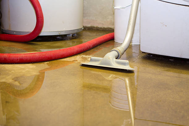 Professional Water damage restoration in WV