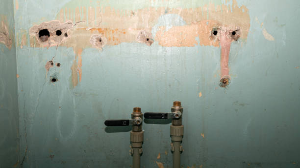 Best 24-hour water damage restoration  in Chesapeake, WV