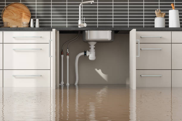 Best Water damage restoration company  in Chesapeake, WV