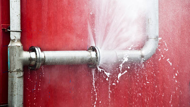 Best Flooded house restoration  in Chesapeake, WV